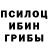 Псилоцибиновые грибы MAGIC MUSHROOMS Andrey Inakin