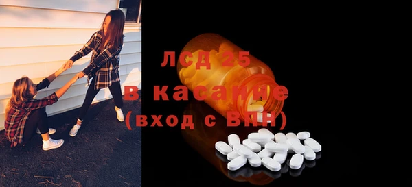 стафф Архангельск