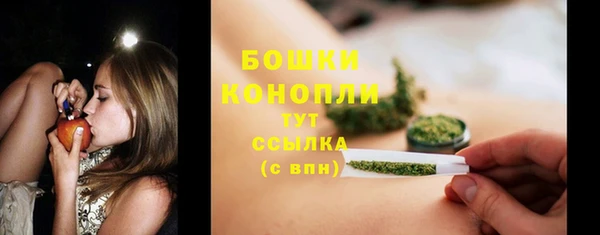 СК Коряжма