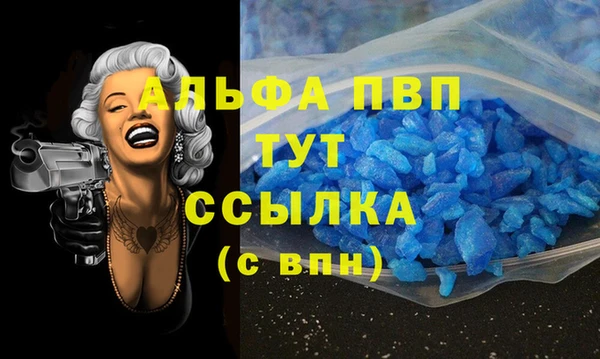 СК Коряжма