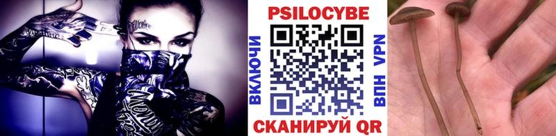 кракен вход  купить наркоту  Луховицы  Галлюциногенные грибы Psilocybine cubensis 