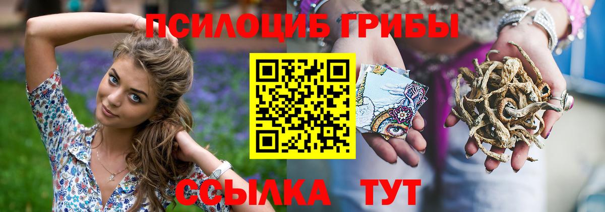 Псилоцибиновые грибы Psilocybine cubensis Луховицы
